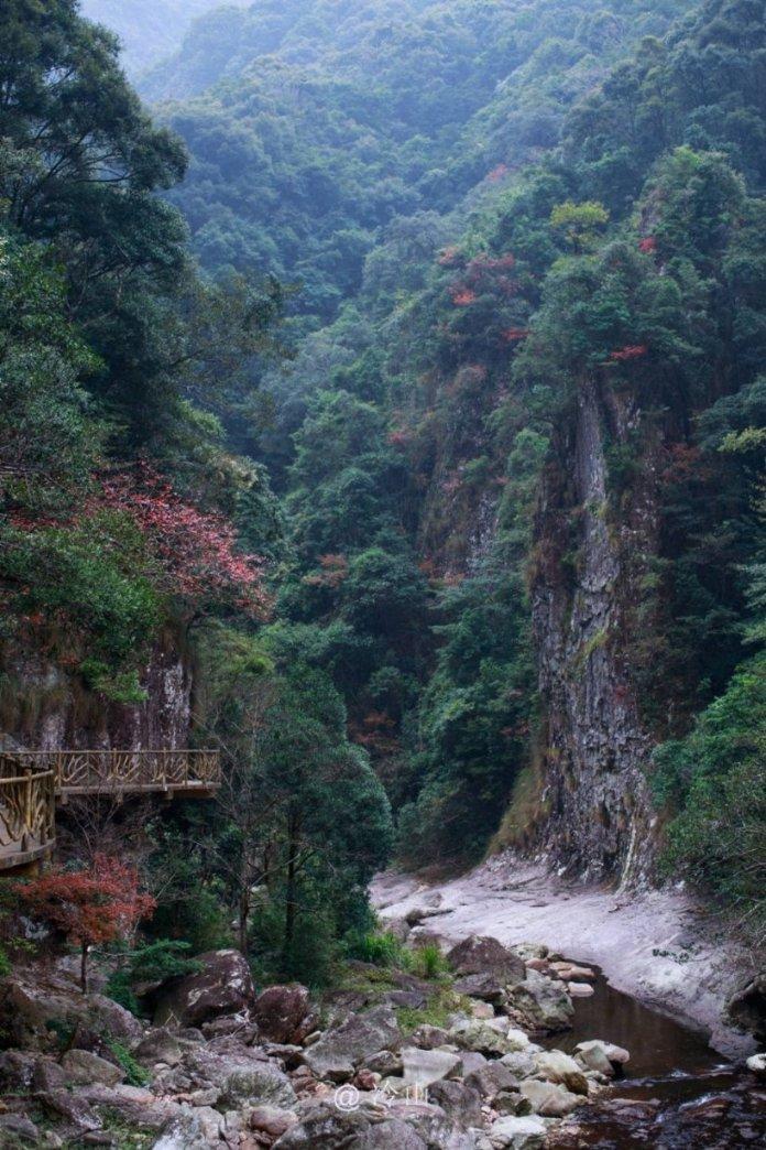 当你进入迷茫期时，应该怎么办？